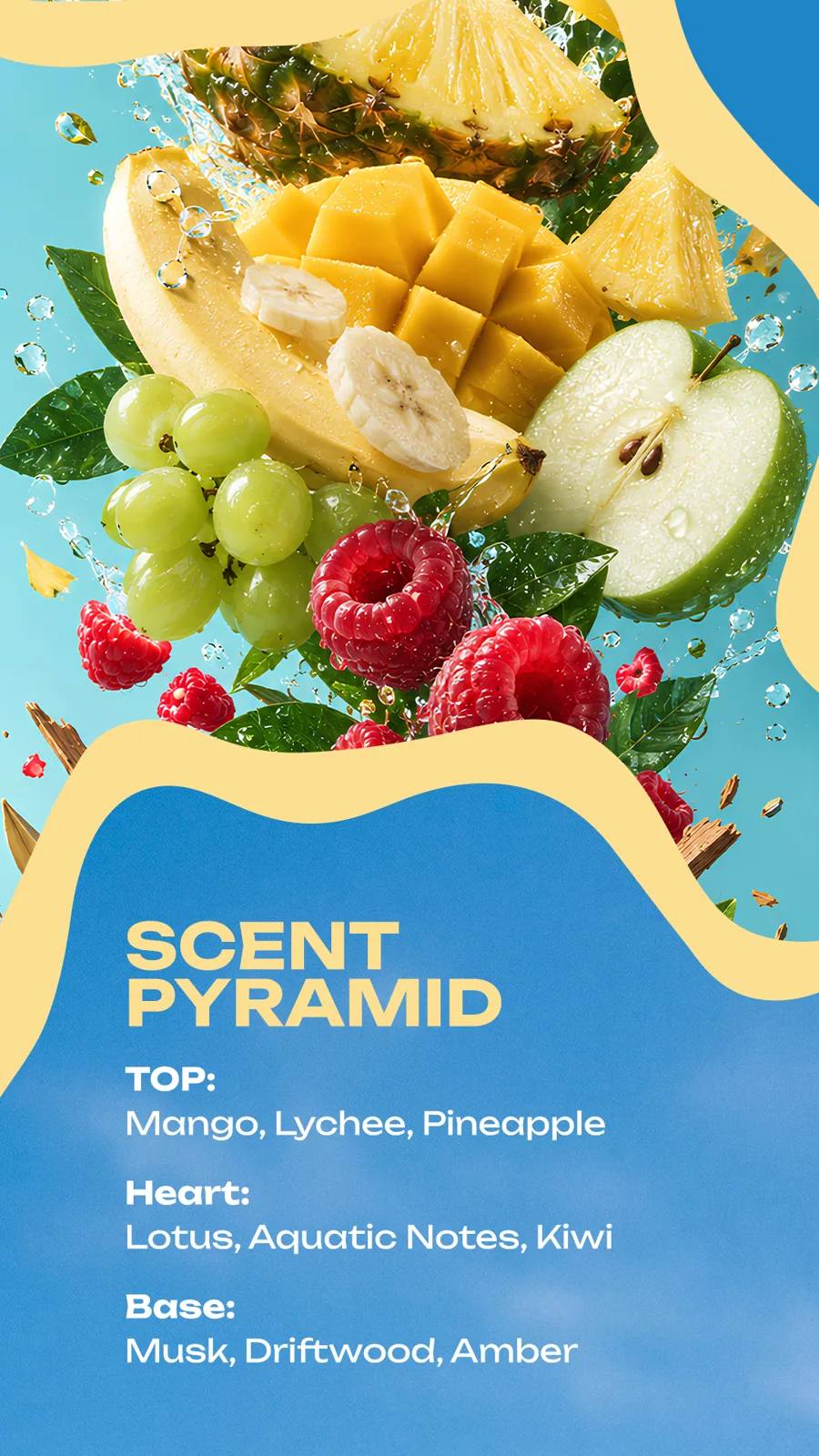Scent pyramid